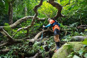 BIB: 
                            <button type="button" onclick="openModal(19407901)" class="btn btn-primary btn-sm float-right btn-popup" data-toggle="modal" data-target=".modal-high-quality">
                        <i class="fas fa-shopping-cart"></i> Add to Cart
                    </button>
                                            <button type="button" onclick="isThisMe(19407901, true)" class="btn btn-success btn-sm float-right btn-popup btn-isme hidden" data-toggle="tooltip" data-placement="bottom" title="นี่คือรูปของคุณใช่ไหม คลิกที่นี่เพื่อเอาเข้าอัลบั้ม">
                        <i class="fas fa-plus"></i> Add to album
                    </button>
                    <button type="button" onclick="isThisMe(19407901, false)" class="btn btn-warning btn-sm float-right btn-popup btn-isnotme hidden">
                        <i class="fas fa-ban"></i> Remove from album
                    </button>